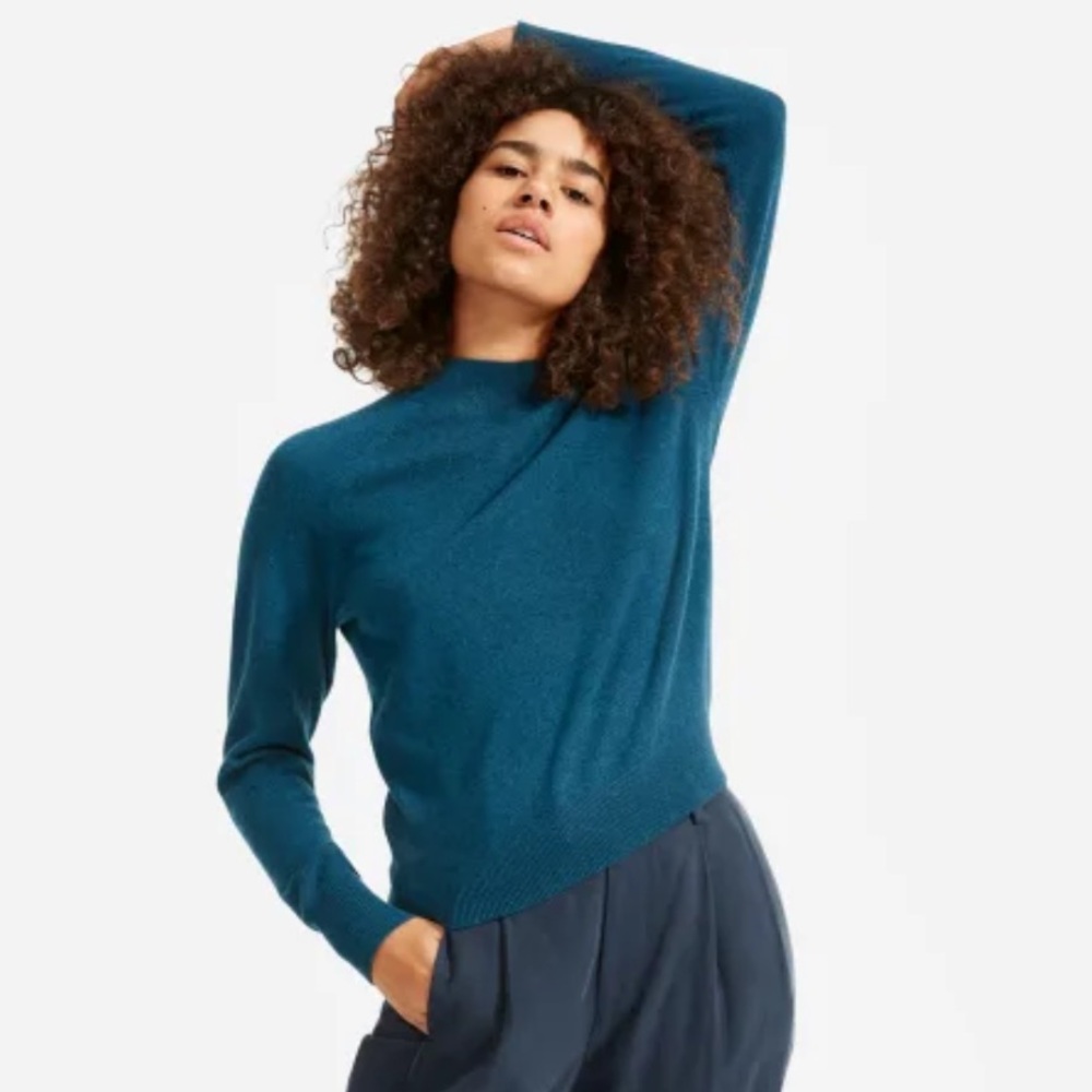 Everlane Cashmere Raglan Mockneck Sweater